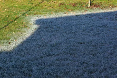 Hoarfrost by Camille Pissarro